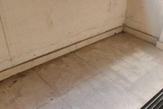 Moreshwar Complex, 1 Bhk